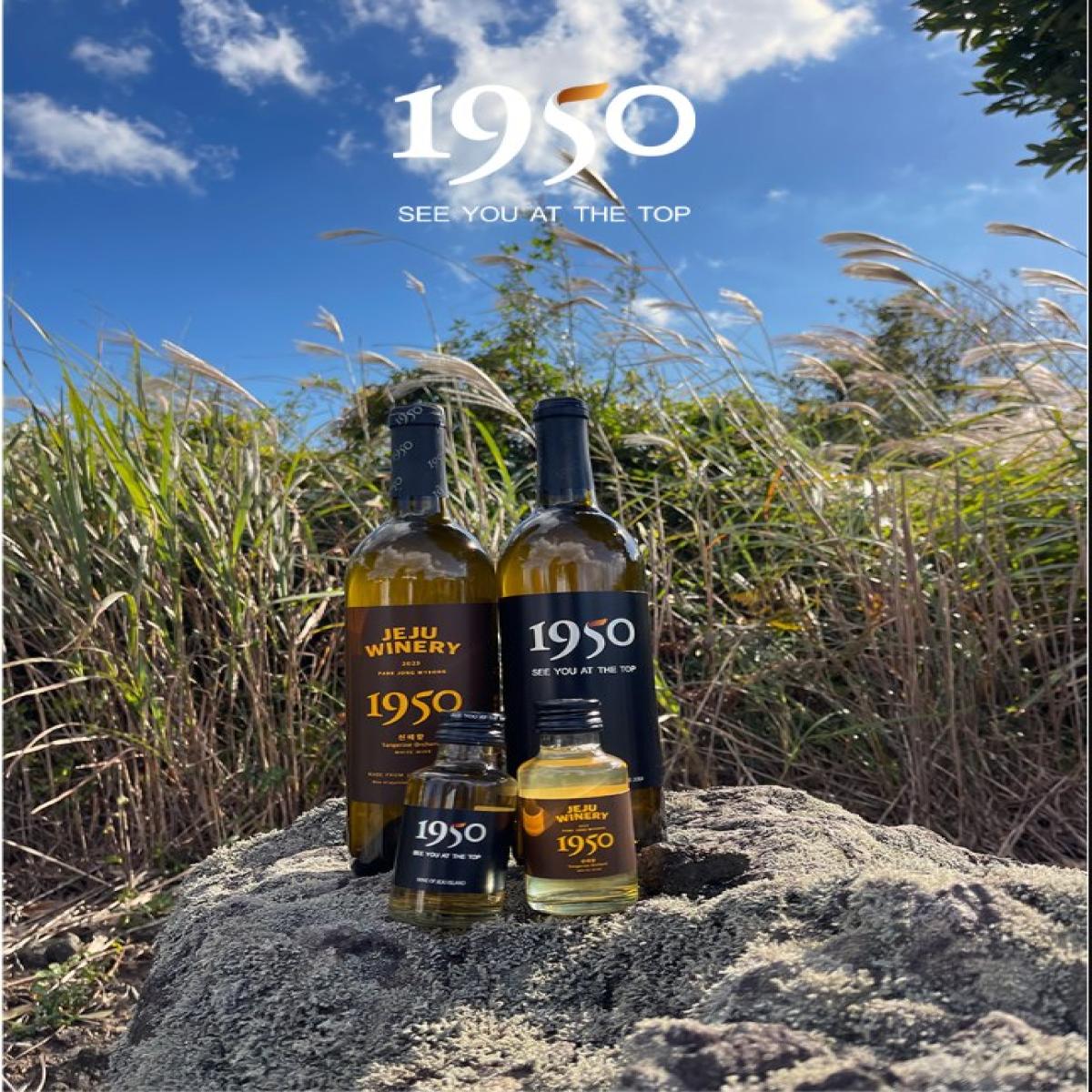 제주 양조장 1950 감귤/천혜향 와인 750ml★