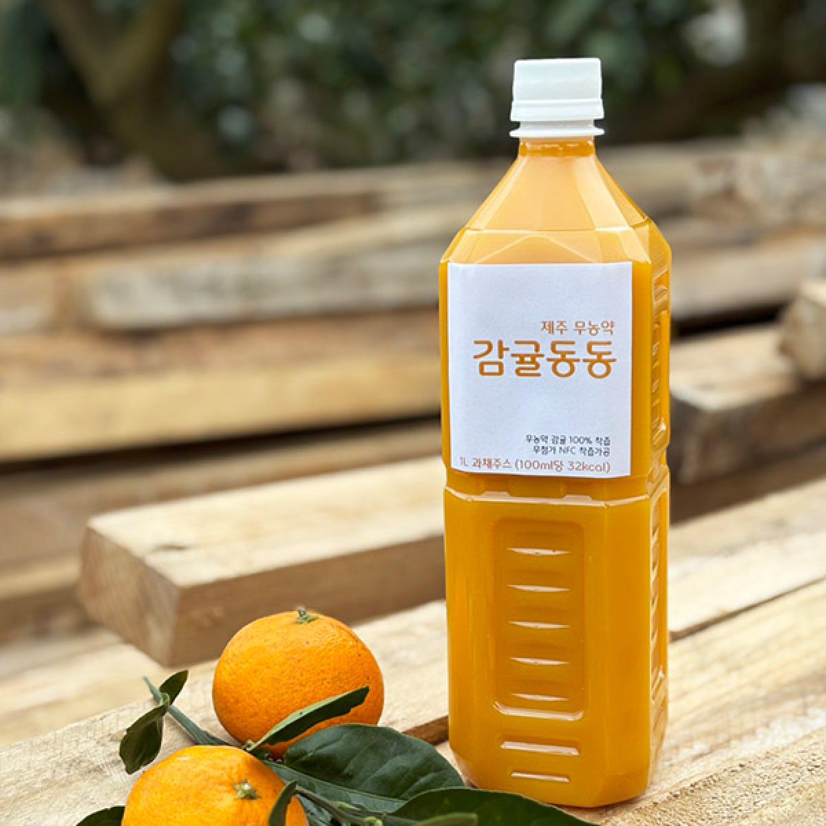 감귤동동★