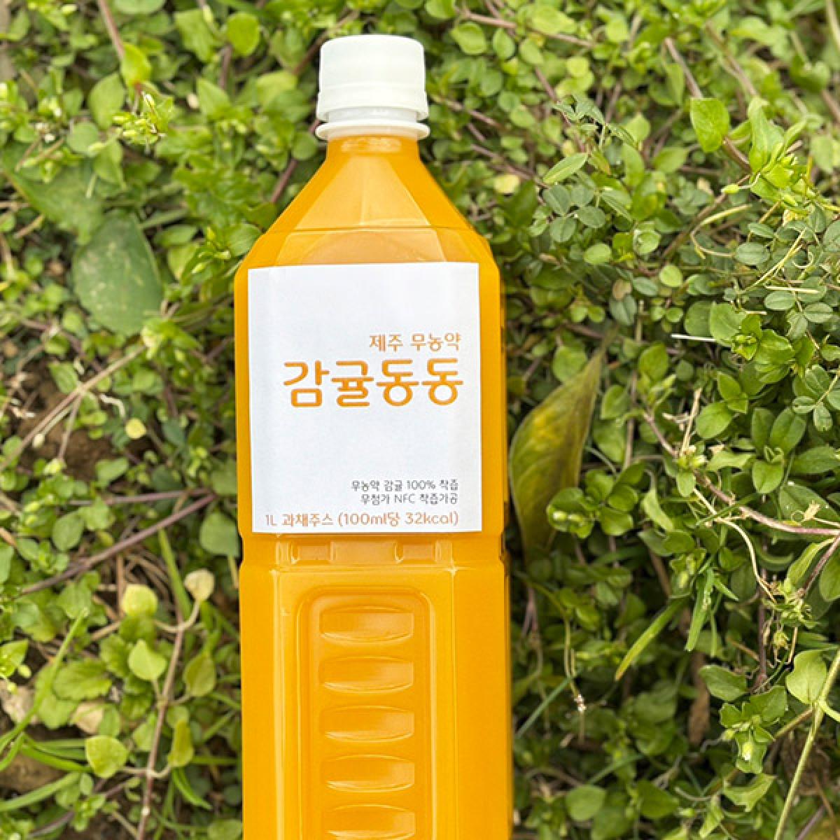 감귤동동