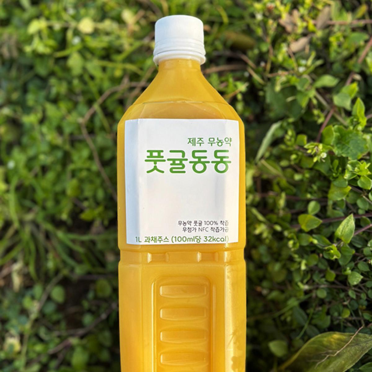 풋귤동동