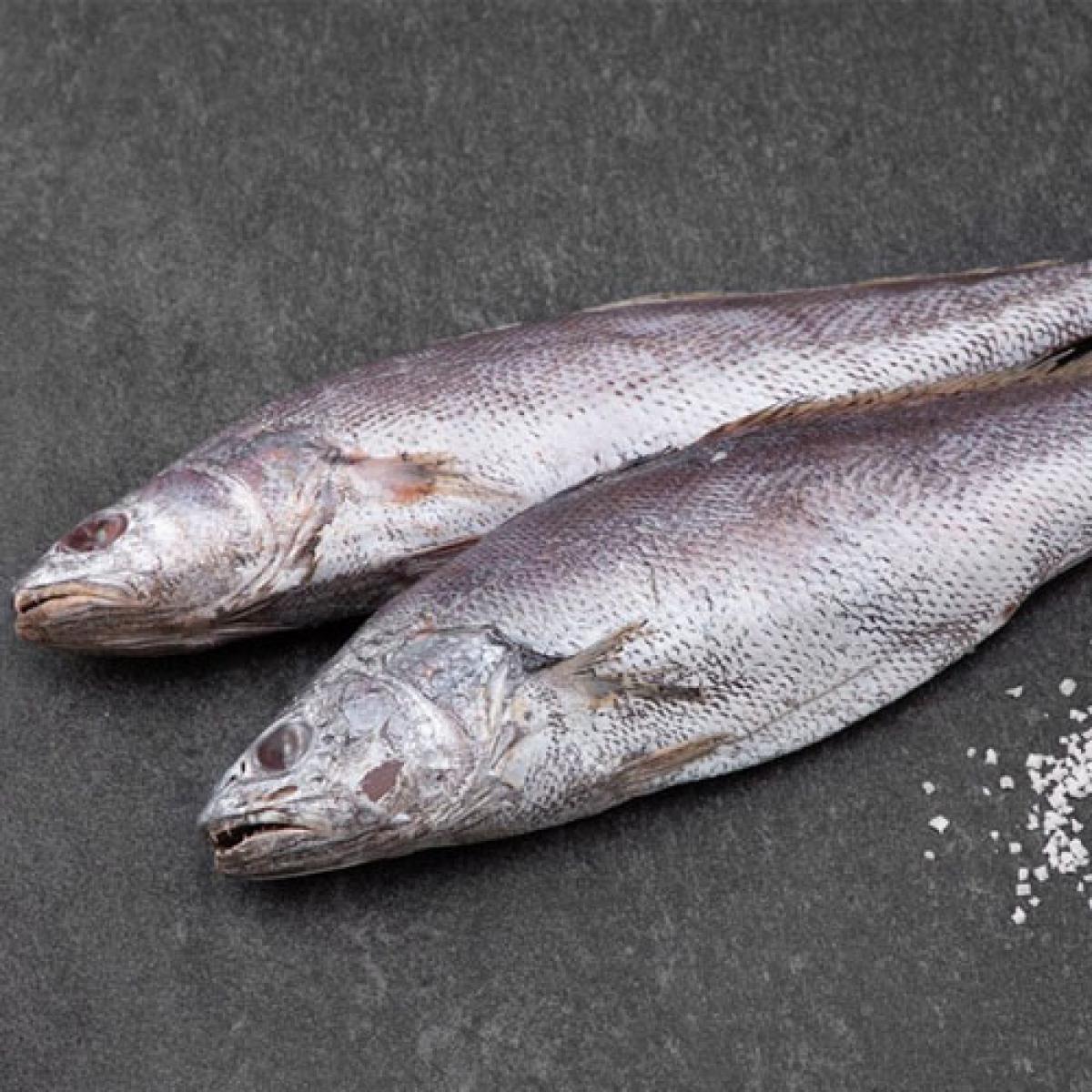 한올레 민어 5마리(400g/마리)