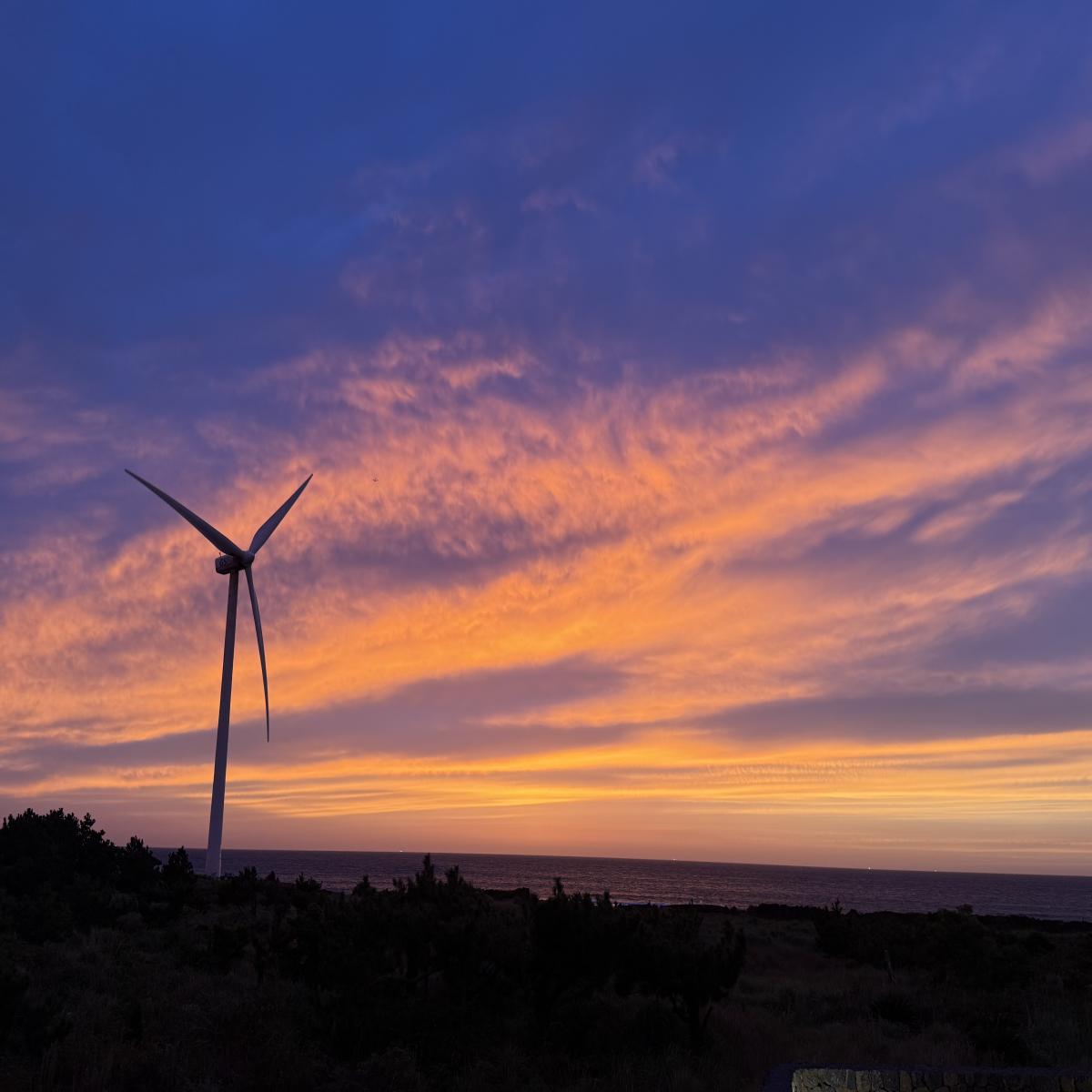 review